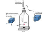 Schematische Darstellung des Versuchsaufbaus für O2 Messung in simulierter Fleischverpackungsatmosphäre