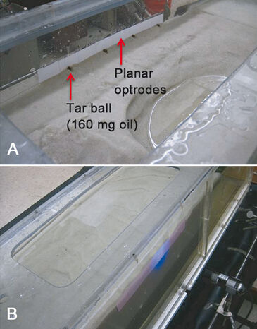 Set-up for O2 imaging around burried tar balls in flume experiment