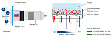 Schematic illustration of the VisiSens measurement principle and working principle of a fluorescent sensor foil
