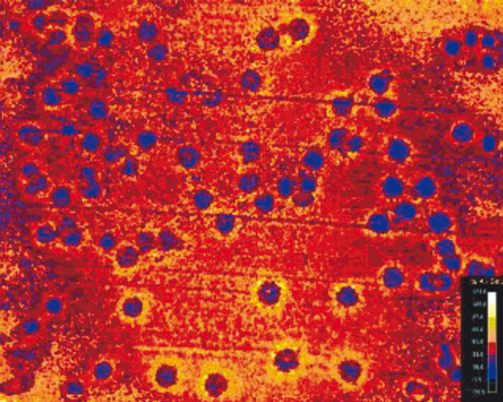 Sauerstoffbild von E. coli Kolonien auf Agar