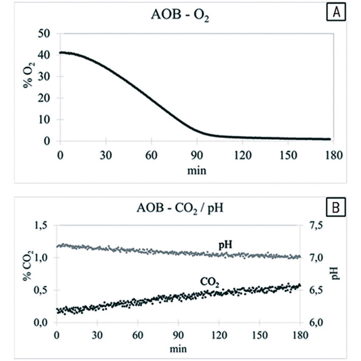 O2, CO2 und pH während Batch-Experimenten