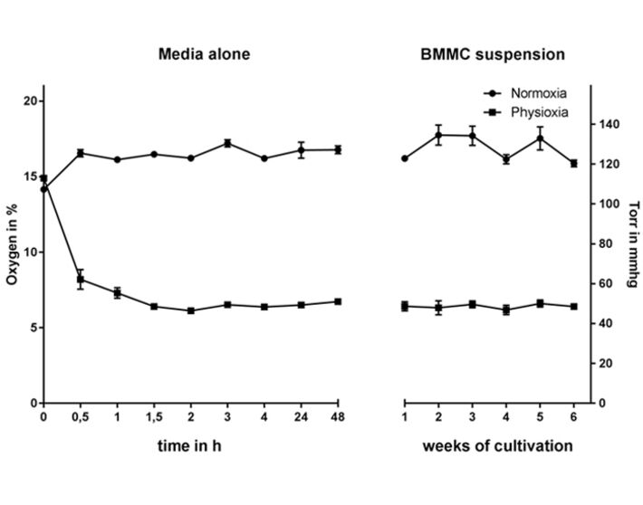 Long-term O2 monitoring in medium alone and in BMMC suspension culture