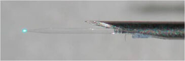 Photograph of an PreSens oxygen microsensor with extended tapered sensor tip.