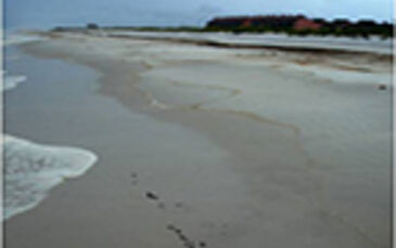 Pensacola Beach FL, USA