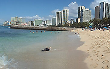 Beach Panorama - Honolulu, HI, USA