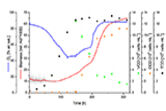 Biomasse und O2 in CHO Zellkultur gemessen mit SFR vario