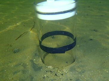 Acrylic tube used to extract sediment sample