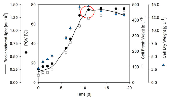 Online Biomasse-Messung in Pflanzenzellsuspensionskultur mit SFR vario im Vergleich zu offline bestimmten Daten 