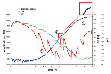 Biomasse, O2 und pH Überwachung in E. coli Kultur mit SFR vario