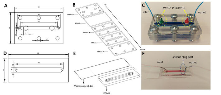 Images of two different fabricated microfluidic chips for 3D and 2D microglia polarization
