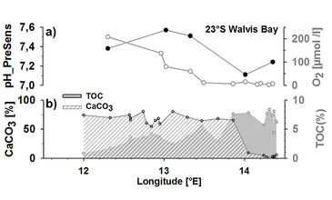 Graph showing pH measured in pore water 1 cm below sediment surface