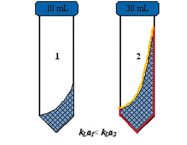 Illustration of fluid behavior in TubeSpin bioreactors 