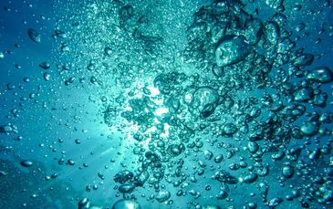 Luftblasen in Wasser