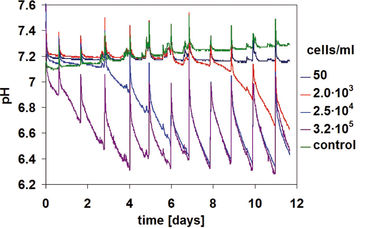 Oxygen and pH kinetics of suspension-adapted CHO cells at different start concentrations