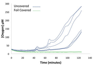 Graph showing effectiveness of adhesive foil limiting O2 influx in wells