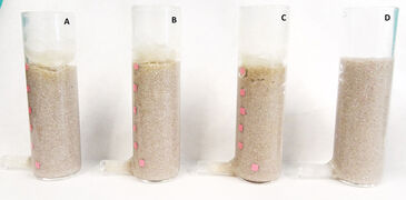 Labormodell eines Haushalts-Sandfilters zur Arsenbeseitigung