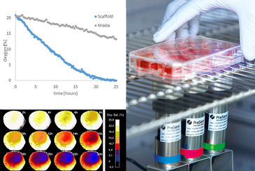 Imaging von Zellkultur im Inkubator mit VisiSens