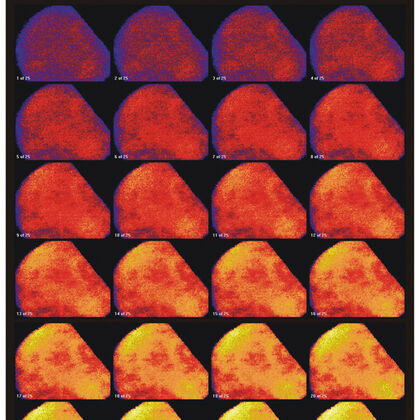Time series of recorded O2 images of one sample.