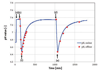 Typisches pH Profil bei CO2 Zugabe zum Bag