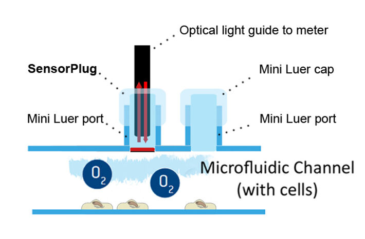Schemazeichung eines in Mikrofluidik-Chip integrierten SensorPlugs