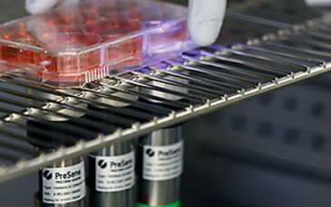 VisiSens: Oxygen, pH, and carbon dioxide imaging