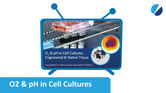 [Translate to Deutsch:] Start screen of webinar: VisiSens, O<sub>2</sub> & pH in Cell Cultures, Engineered & Native Tissue