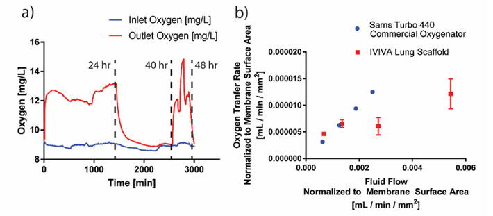 Messung der O2 Konzentration an In-und Outlet des Gerüsts und O2 Transfer in Lungen-Scaffold