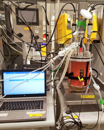 Experimentaufbau zur Zellkulturüberwachung in gerührtem Kesselbioreaktor mit optischen Sensoren