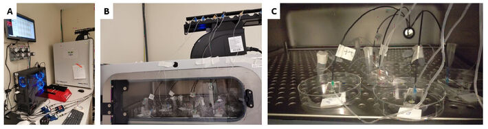 Experimental setup for microfluidic experiments 