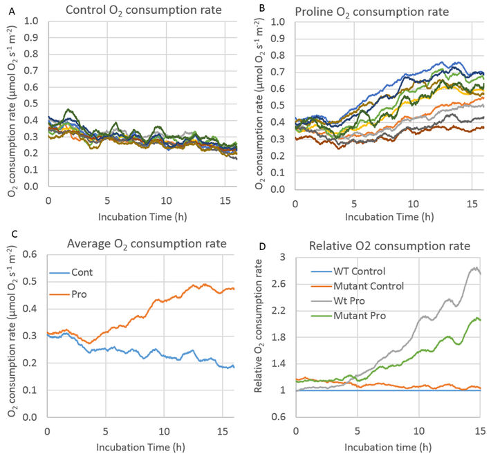 Analysen der Sauerstoffverbrauchsrate von Blattscheibchen nach Exposition mit exogenen Chemikalien aufgenommen mit SDR