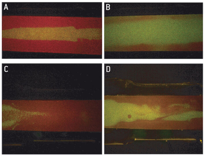 Fluorescence pH imaging in PDMS based channel shaped gasket