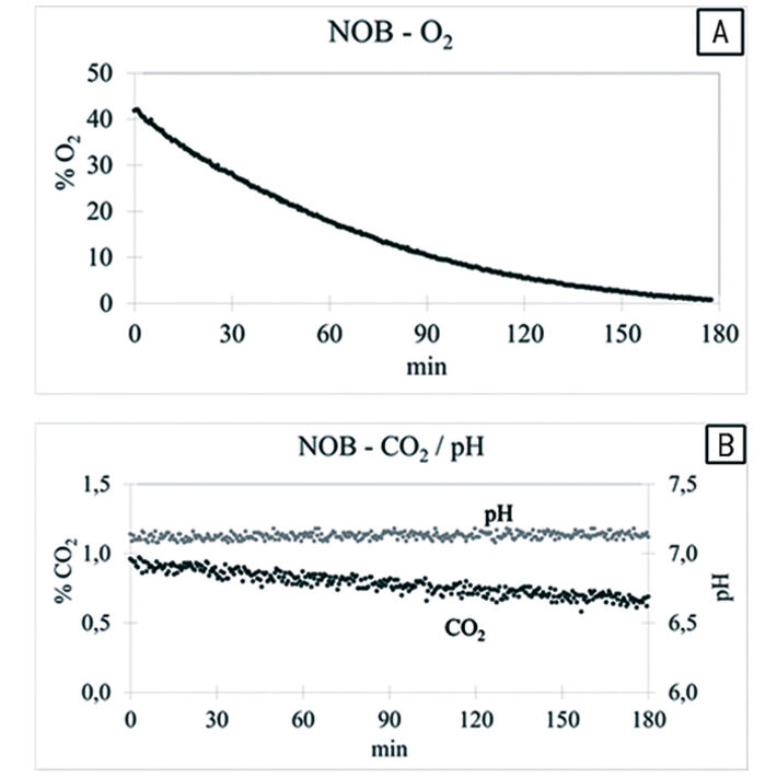 O2, CO2 und pH während Batch-Experimenten
