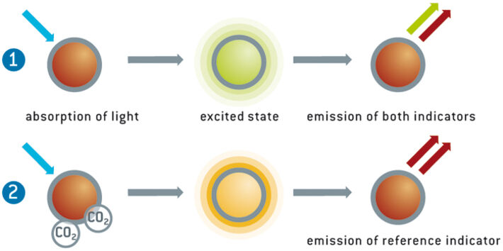 Illustration des Messprinzips eines chemisch-optischen CO2 Sensors