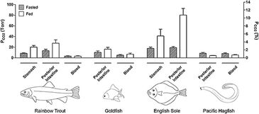 pCO2 in various sections of fish gut measured with optical sensor