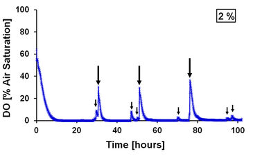 Changes in O2 saturation in cell culture plates in an incubator