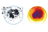 Photo of sensing surface with cells stained by MTT and sensor foil image of measured oxygen profiles in the same region