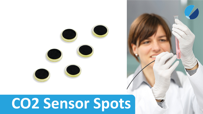A CO2 Sensor Spot is prepared for integration in a Petri-dish