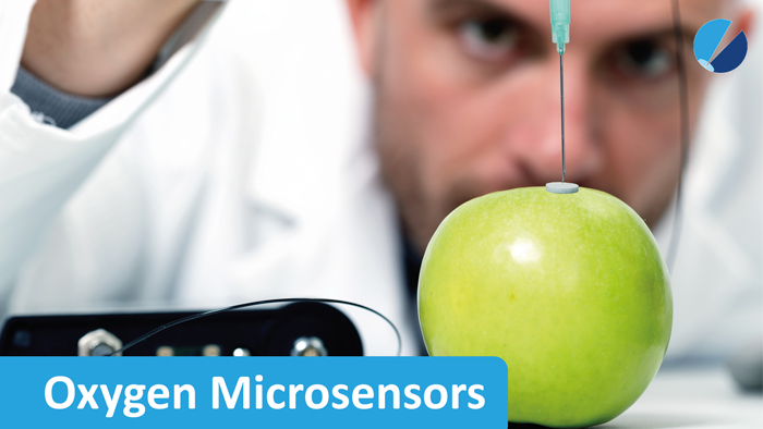 A needle-type O2 microsensor is pierced in an apple