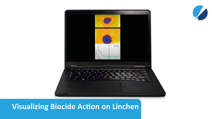 Oxygen image of biocide action on lichen recorded with VisiSens