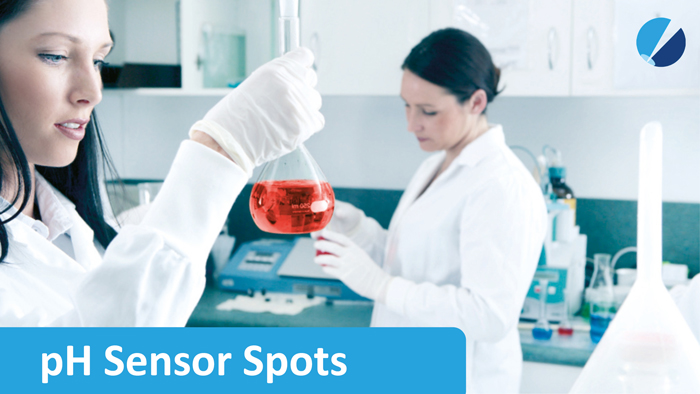A pH Sensor Spot is prepared for integration in a Petri-dish 